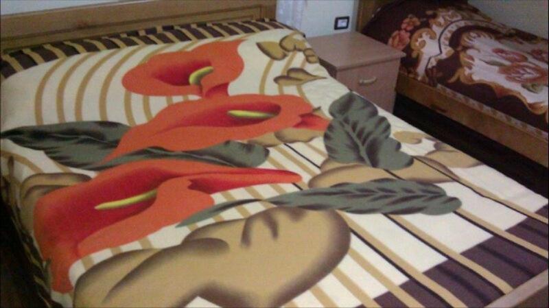 Alpbes Theth Guesthouse ชโคเดอร์ ภายนอก รูปภาพ